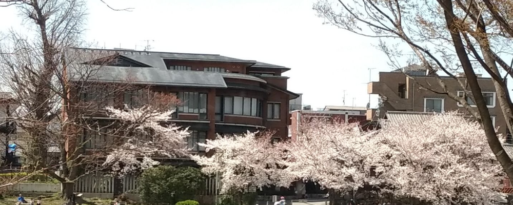 Slideshow Image 2